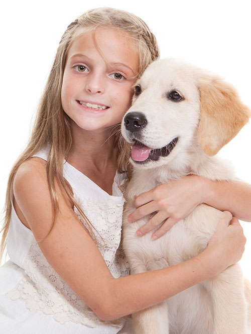 impacted canines
